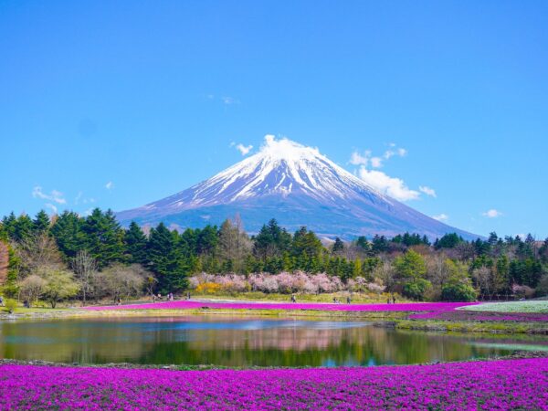 Planning a trip to Japan in 2024?