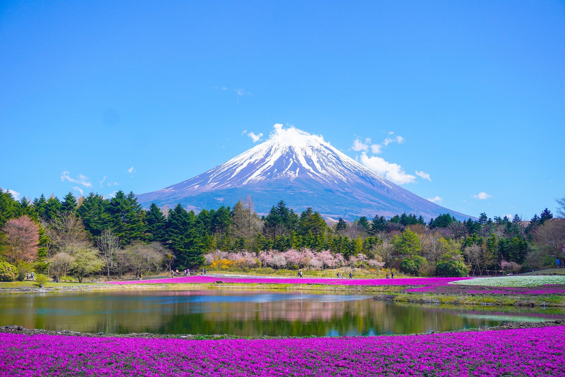Planning a trip to Japan in 2024?